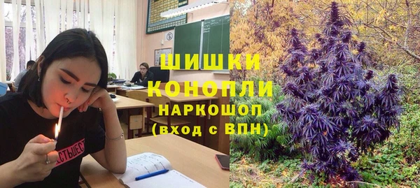 дмт Дмитровск