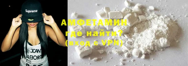 сатива Ельня