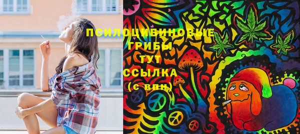 дмт Дмитровск