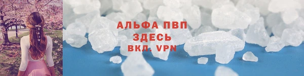 дмт Дмитровск