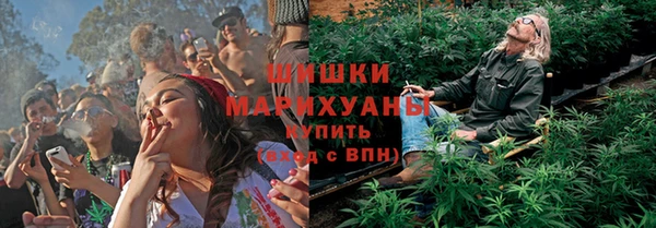 дмт Дмитровск