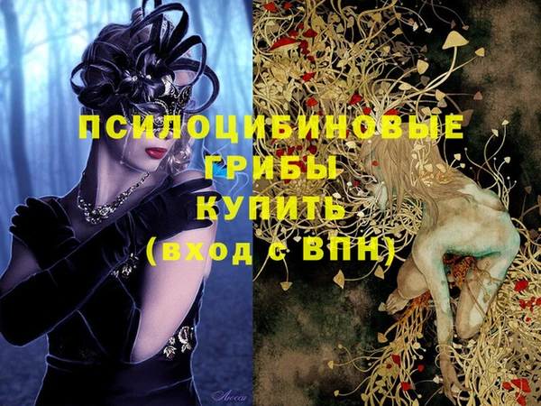 дмт Дмитровск