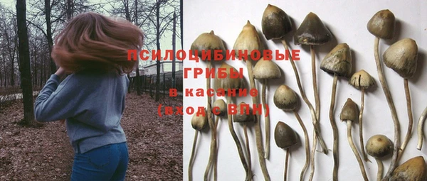 кокаин перу Дмитриев