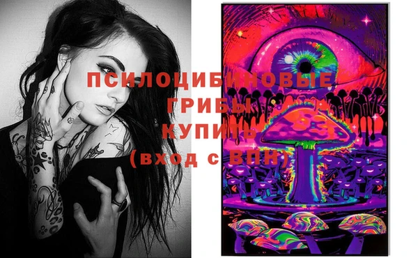 дмт Дмитровск