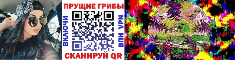 Псилоцибиновые грибы мицелий  Татарск 